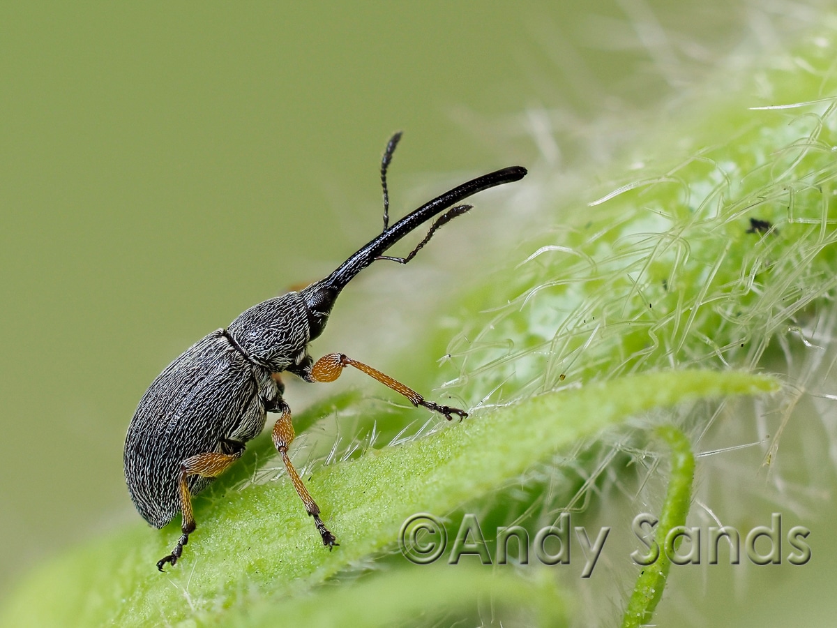 Latest Images - Andy Sands Photography